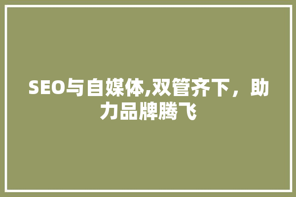 SEO与自媒体,双管齐下，助力品牌腾飞