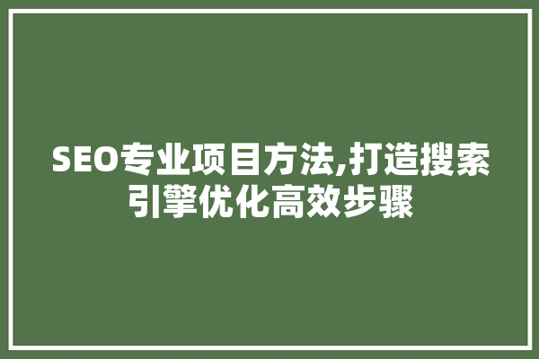 SEO专业项目方法,打造搜索引擎优化高效步骤 AI简讯