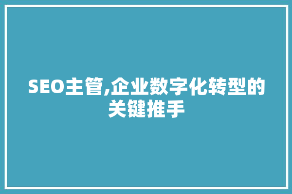 SEO主管,企业数字化转型的关键推手