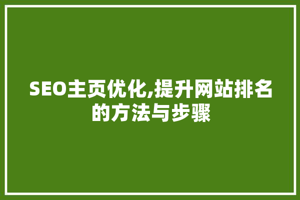 SEO主页优化,提升网站排名的方法与步骤 文字写作