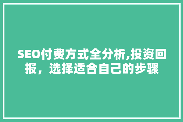SEO付费方式全分析,投资回报，选择适合自己的步骤