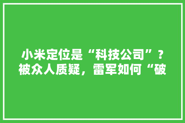 小米定位是“科技公司”？被众人质疑，雷军如何“破局”,人工智能雷军列传