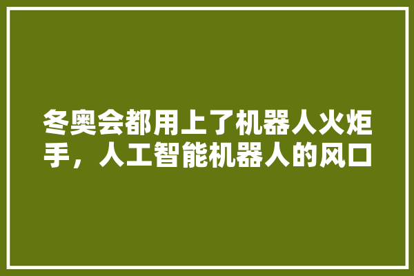冬奥会都用上了机器人火炬手，人工智能机器人的风口还远吗,冬奥会人工智能