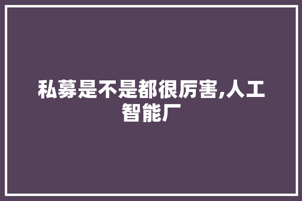 私募是不是都很厉害,人工智能厂