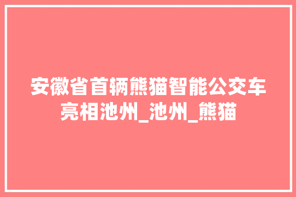 安徽省首辆熊猫智能公交车亮相池州_池州_熊猫