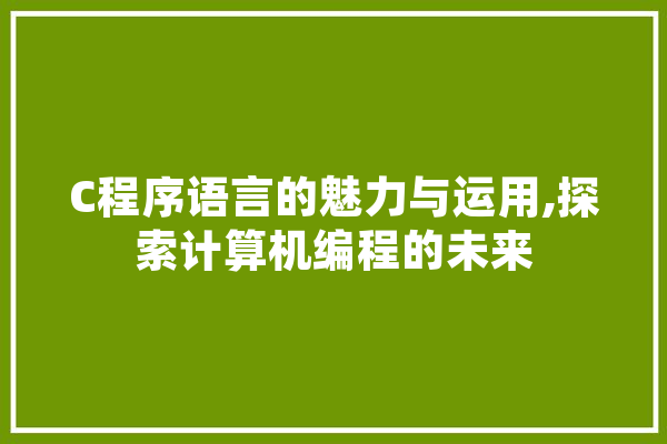 C程序语言的魅力与运用,探索计算机编程的未来 绘影字幕
