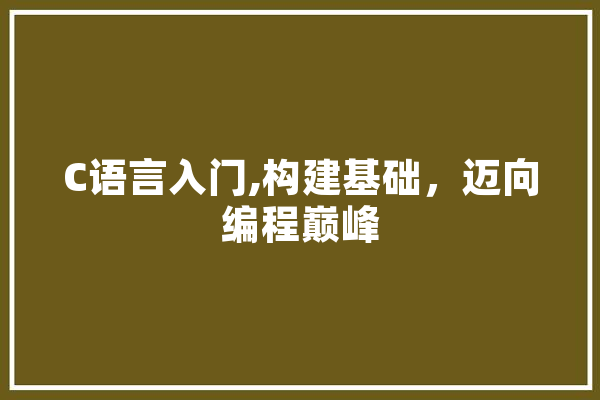 C语言入门,构建基础，迈向编程巅峰