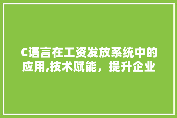 C语言在工资发放系统中的应用,技术赋能，提升企业财务管理效率