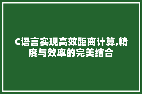 C语言实现高效距离计算,精度与效率的完美结合 智能问答