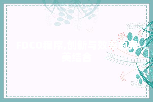 FDCO程序,创新与效率的完美结合 AI快讯