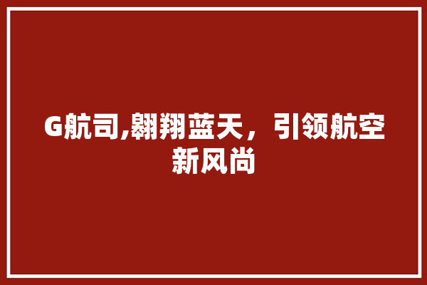 G航司,翱翔蓝天，引领航空新风尚