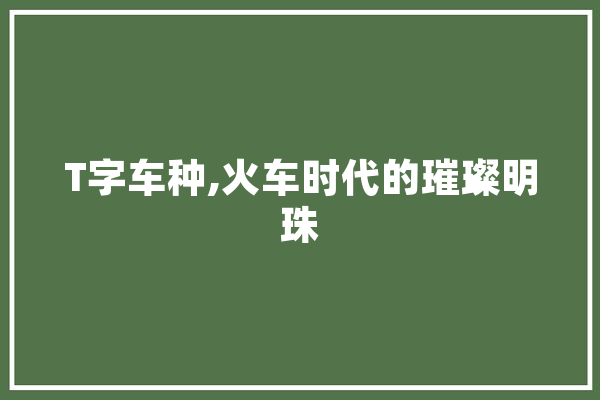 T字车种,火车时代的璀璨明珠