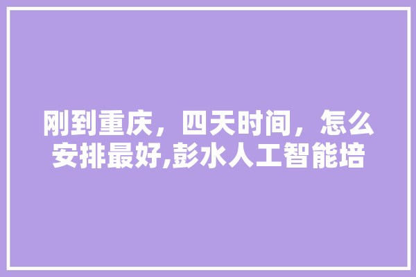 刚到重庆，四天时间，怎么安排最好,彭水人工智能培训机构