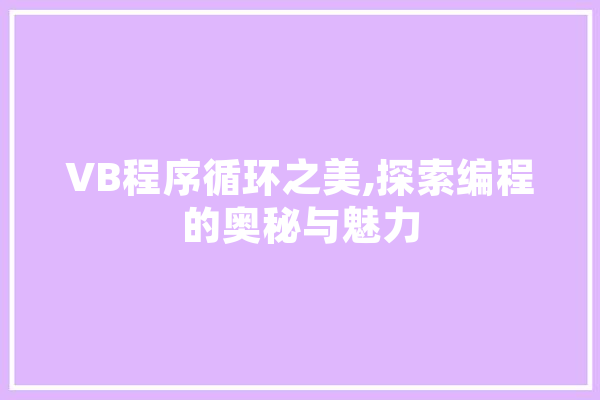 VB程序循环之美,探索编程的奥秘与魅力
