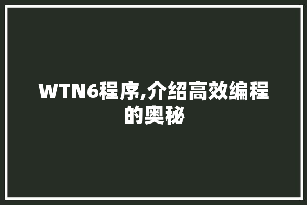 WTN6程序,介绍高效编程的奥秘 智能写作