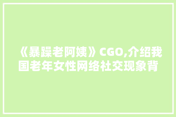 《暴躁老阿姨》CGO,介绍我国老年女性网络社交现象背后的心理动因 智能助手