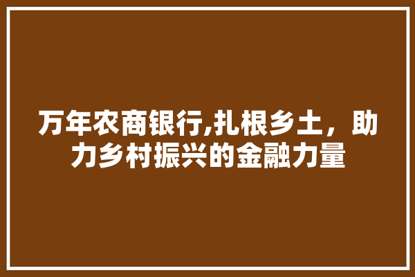 万年农商银行,扎根乡土，助力乡村振兴的金融力量 智能写作