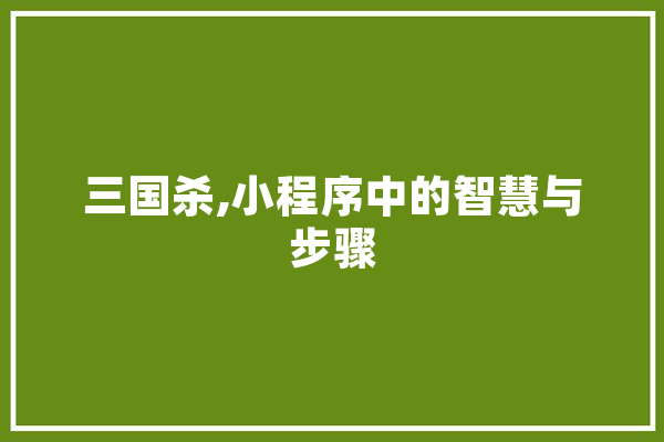 三国杀,小程序中的智慧与步骤 科技快讯