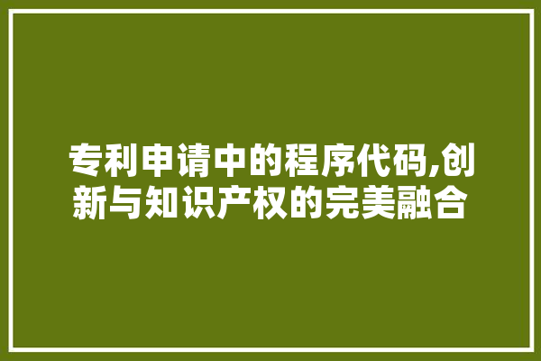 专利申请中的程序代码,创新与知识产权的完美融合 智能助手