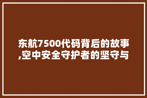 东航7500代码背后的故事,空中安全守护者的坚守与担当