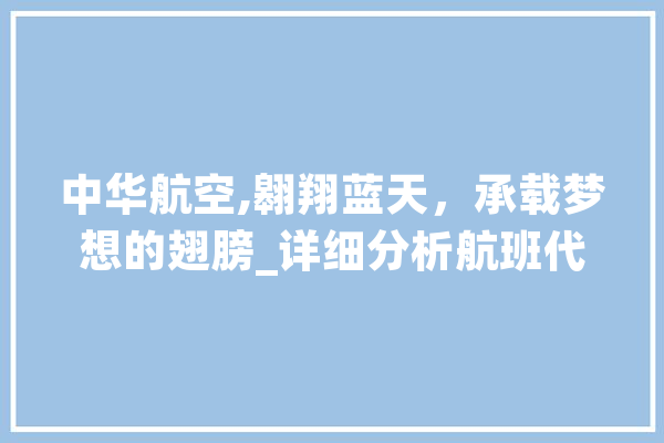 中华航空,翱翔蓝天，承载梦想的翅膀_详细分析航班代码背后的故事