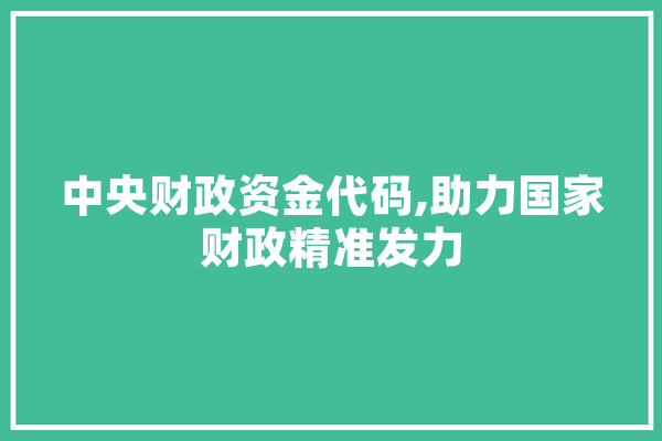 中央财政资金代码,助力国家财政精准发力