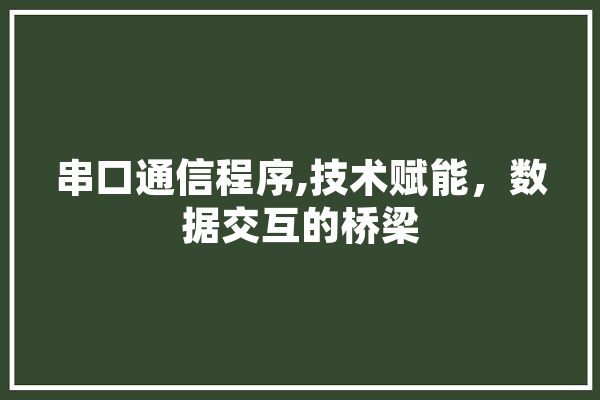 串口通信程序,技术赋能，数据交互的桥梁