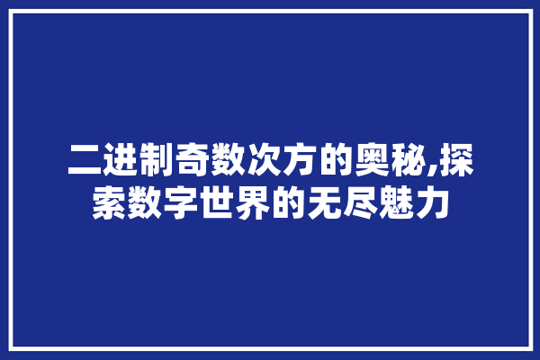 二进制奇数次方的奥秘,探索数字世界的无尽魅力