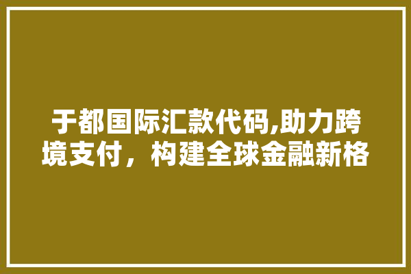 于都国际汇款代码,助力跨境支付，构建全球金融新格局