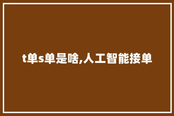 t单s单是啥,人工智能接单 AI快讯