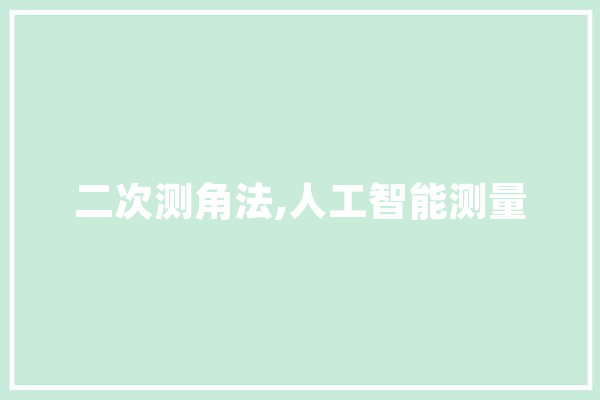 二次测角法,人工智能测量