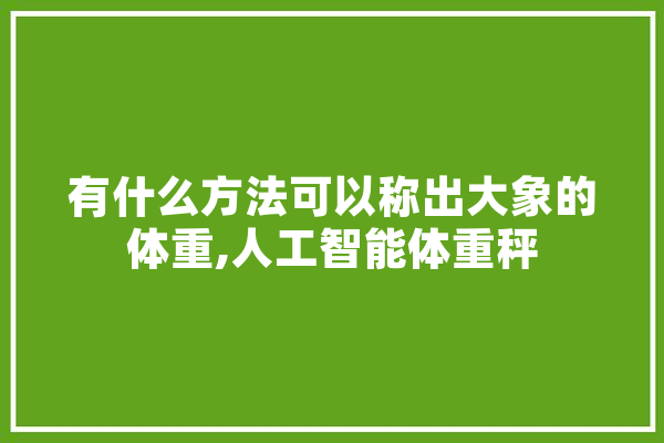 有什么方法可以称出大象的体重,人工智能体重秤