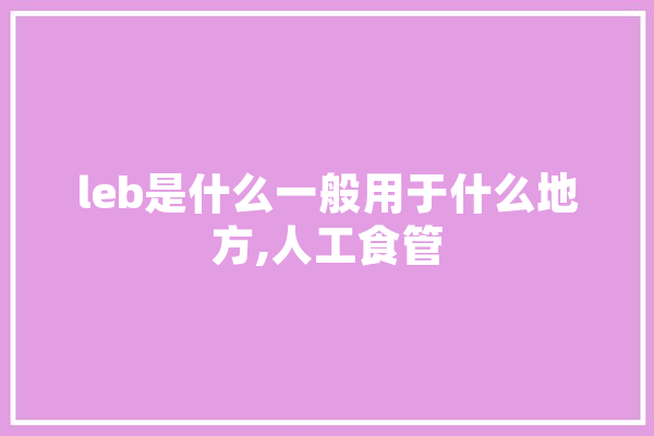 leb是什么一般用于什么地方,人工食管