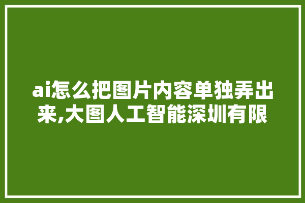 ai怎么把图片内容单独弄出来,大图人工智能深圳有限公司 绘影字幕