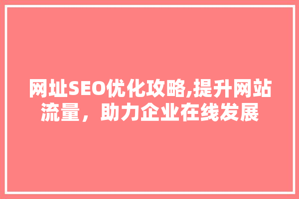 网址SEO优化攻略,提升网站流量，助力企业在线发展 云服务