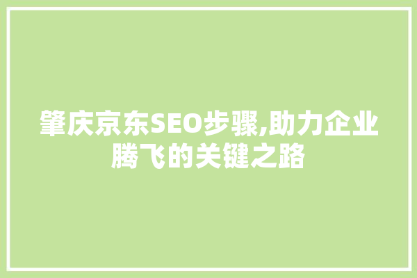 肇庆京东SEO步骤,助力企业腾飞的关键之路 计算机