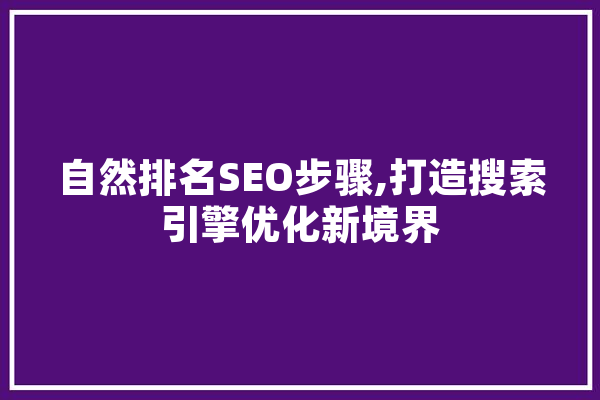 自然排名SEO步骤,打造搜索引擎优化新境界 文字写作