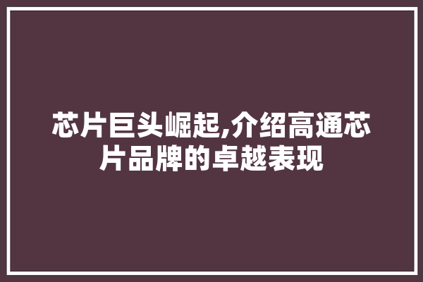 芯片巨头崛起,介绍高通芯片品牌的卓越表现