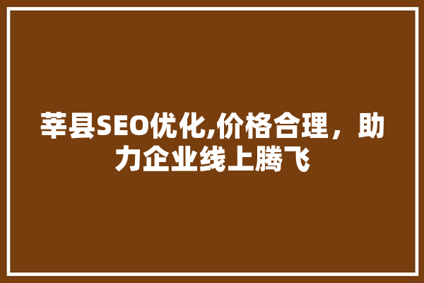 莘县SEO优化,价格合理，助力企业线上腾飞
