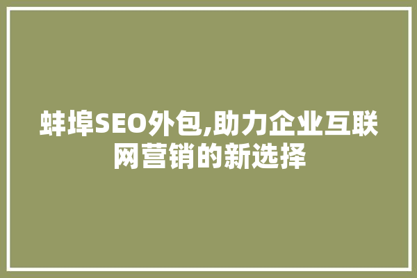 蚌埠SEO外包,助力企业互联网营销的新选择