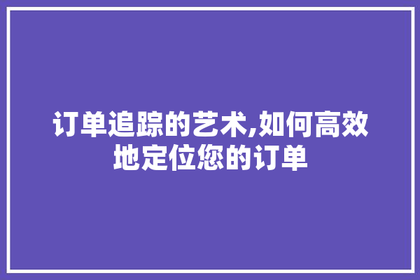 订单追踪的艺术,如何高效地定位您的订单