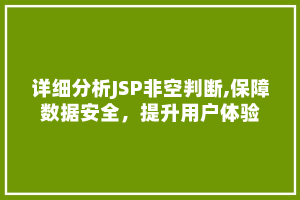 详细分析JSP非空判断,保障数据安全，提升用户体验