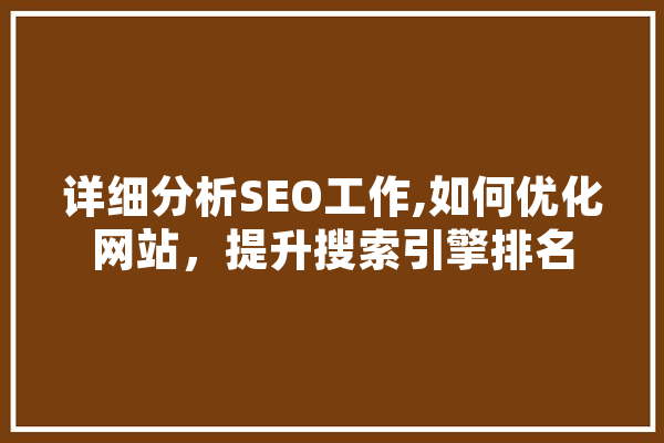 详细分析SEO工作,如何优化网站，提升搜索引擎排名 文字写作