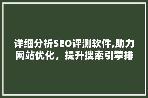 详细分析SEO评测软件,助力网站优化，提升搜索引擎排名