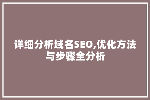 详细分析域名SEO,优化方法与步骤全分析