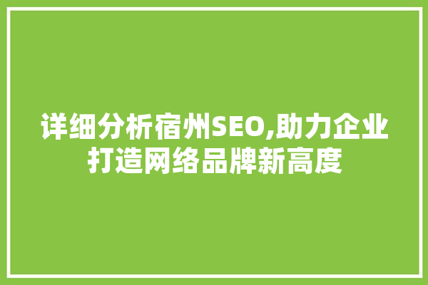 详细分析宿州SEO,助力企业打造网络品牌新高度