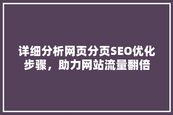 详细分析网页分页SEO优化步骤，助力网站流量翻倍 文字写作