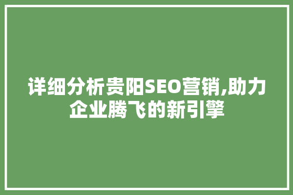 详细分析贵阳SEO营销,助力企业腾飞的新引擎
