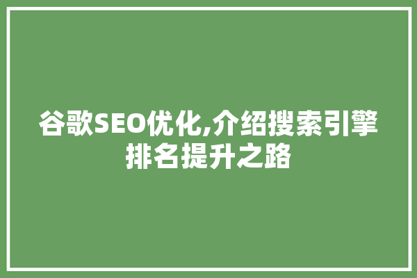 谷歌SEO优化,介绍搜索引擎排名提升之路 云服务