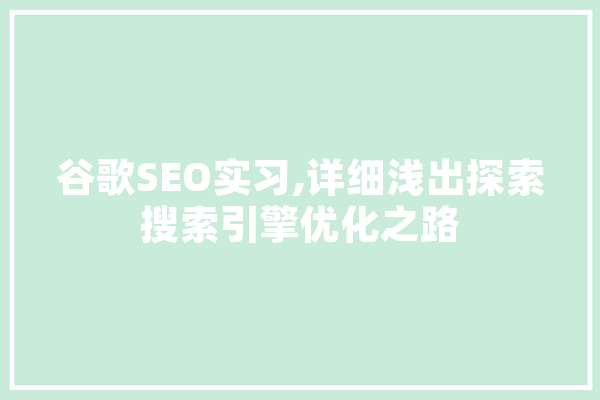 谷歌SEO实习,详细浅出探索搜索引擎优化之路 智能助手